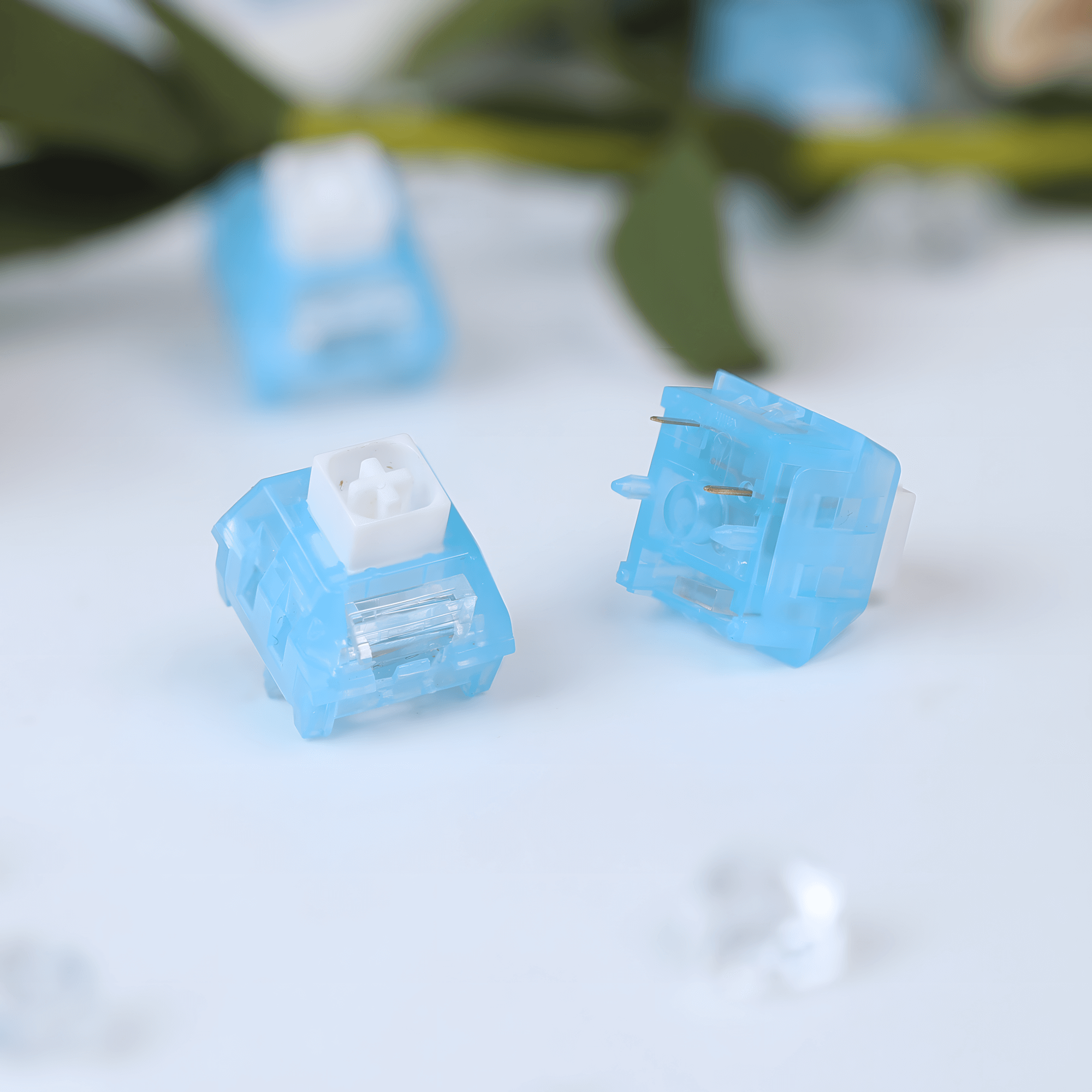 Chosfox x Kailh Arctic Fox Clicky Switches