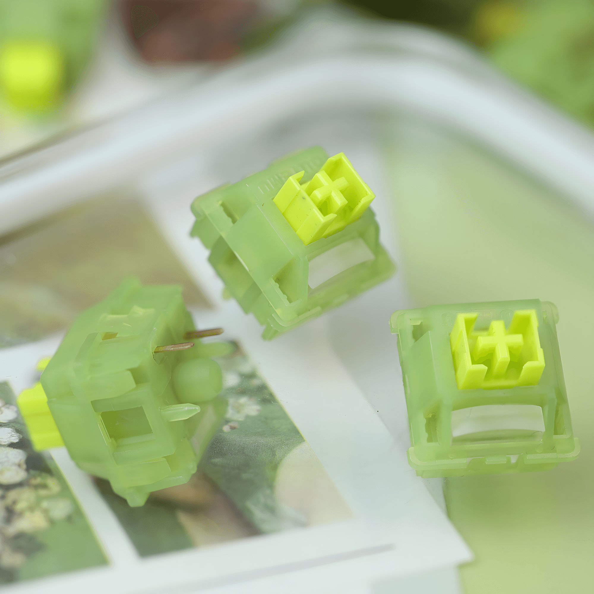 Outume Lemon V3 Tactile Switches